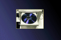 100.gif