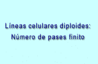 002.gif