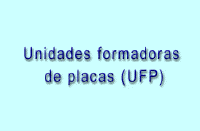 096.gif